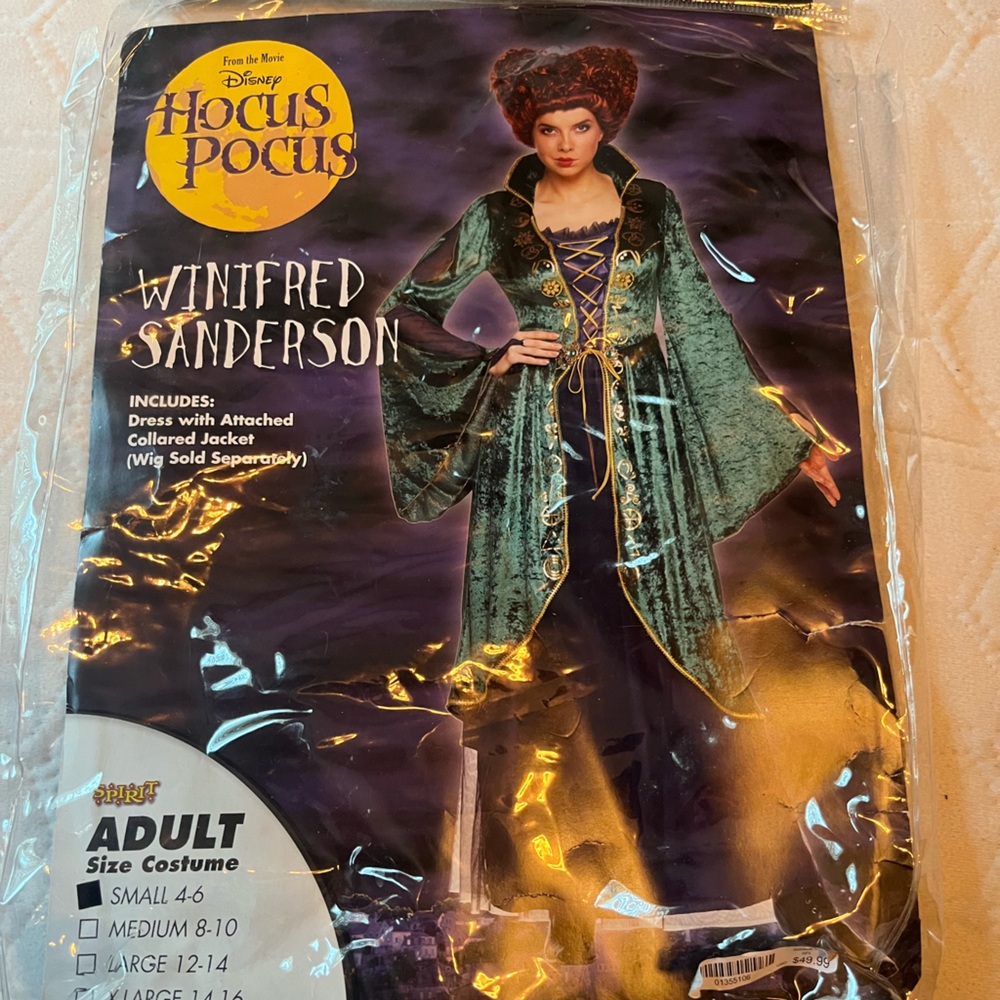 Hocus Pocus Costume